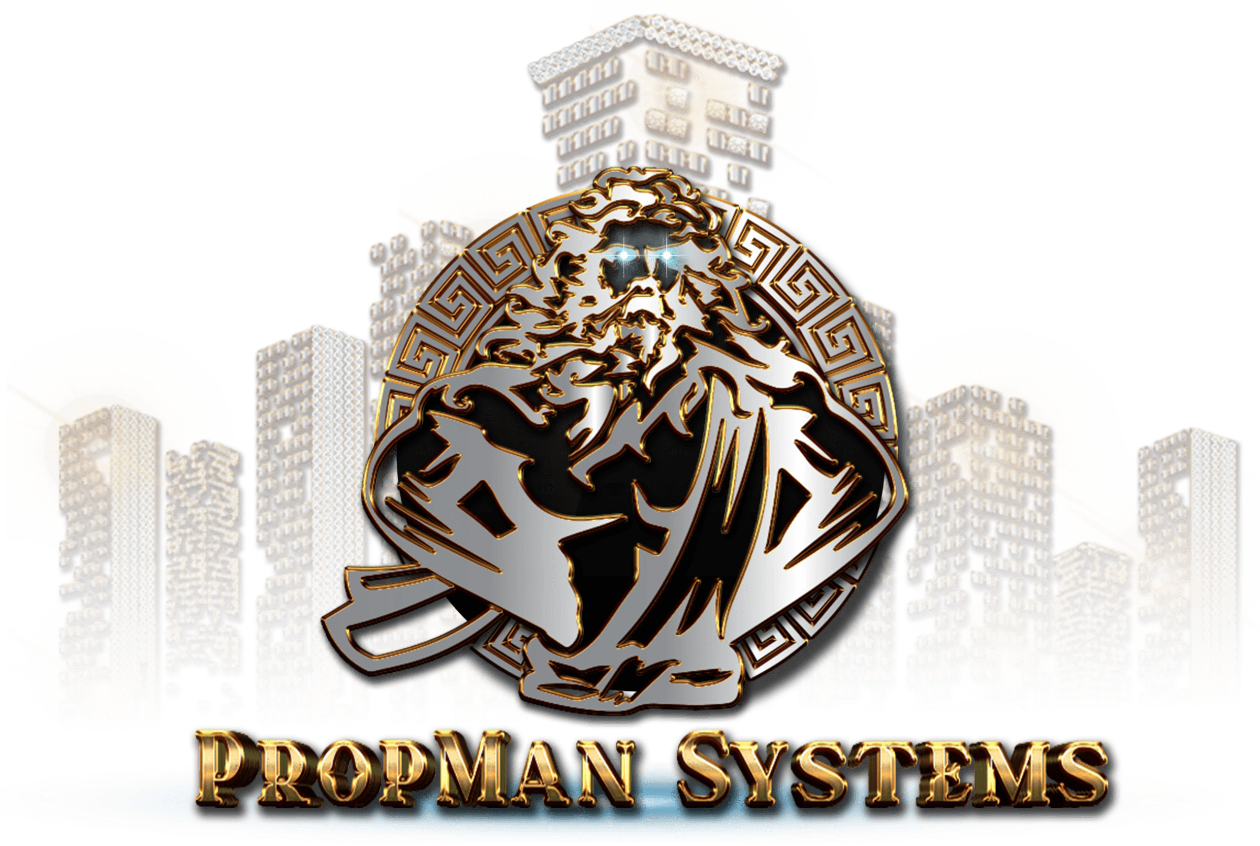 The image shows the text "PROPMAN SYSTEMS" in white, bold, and capitalized letters on a black background.